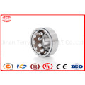 High Speed Hybrid /Self Aligning Ball Bearing (1300)